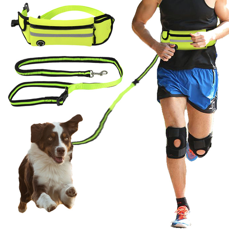 Waterproof/Reflective Pet Waist Bag with Leash