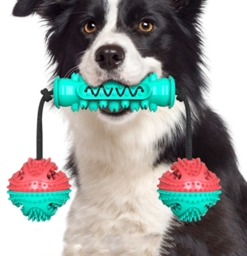 Rubber Bones Teeth Cleaning Chew Toy