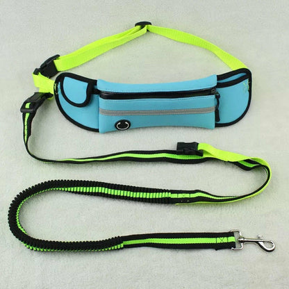 Waterproof/Reflective Pet Waist Bag with Leash