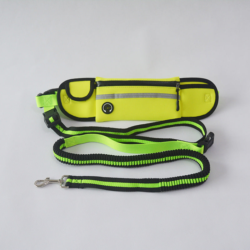 Waterproof/Reflective Pet Waist Bag with Leash