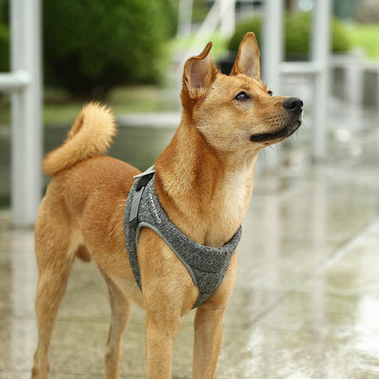 PETKIT Air Pro Dog Harness