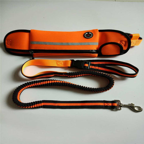 Waterproof/Reflective Pet Waist Bag with Leash