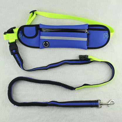 Waterproof/Reflective Pet Waist Bag with Leash