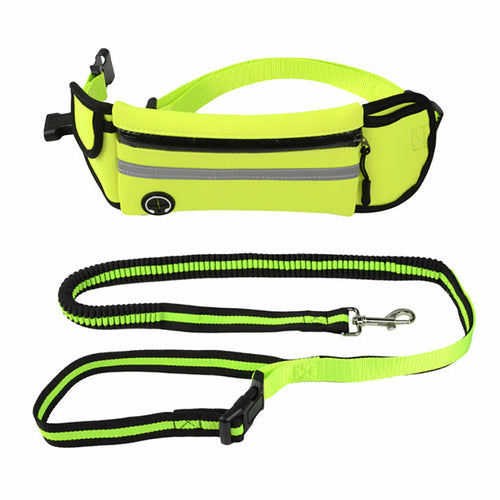 Waterproof/Reflective Pet Waist Bag with Leash