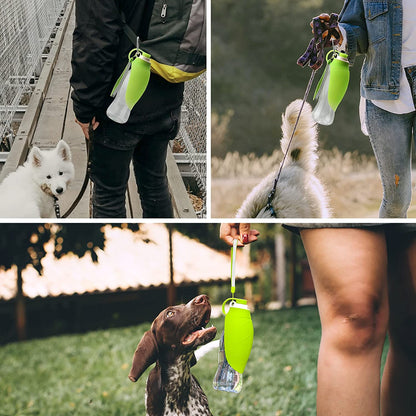 Portable Pet Leak Proof Water Dispenser by Super Design