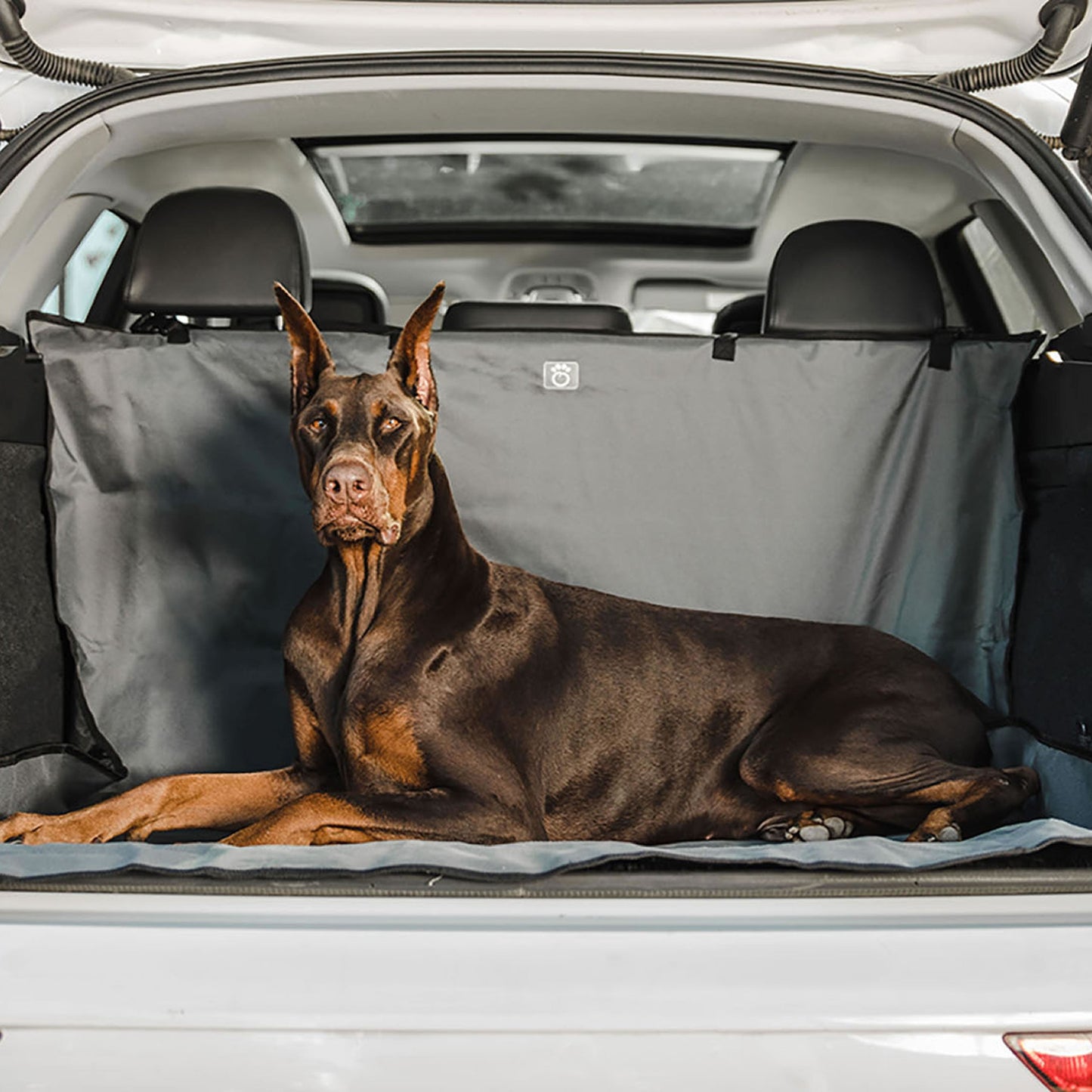Pet Cargo Cover by GF Pet